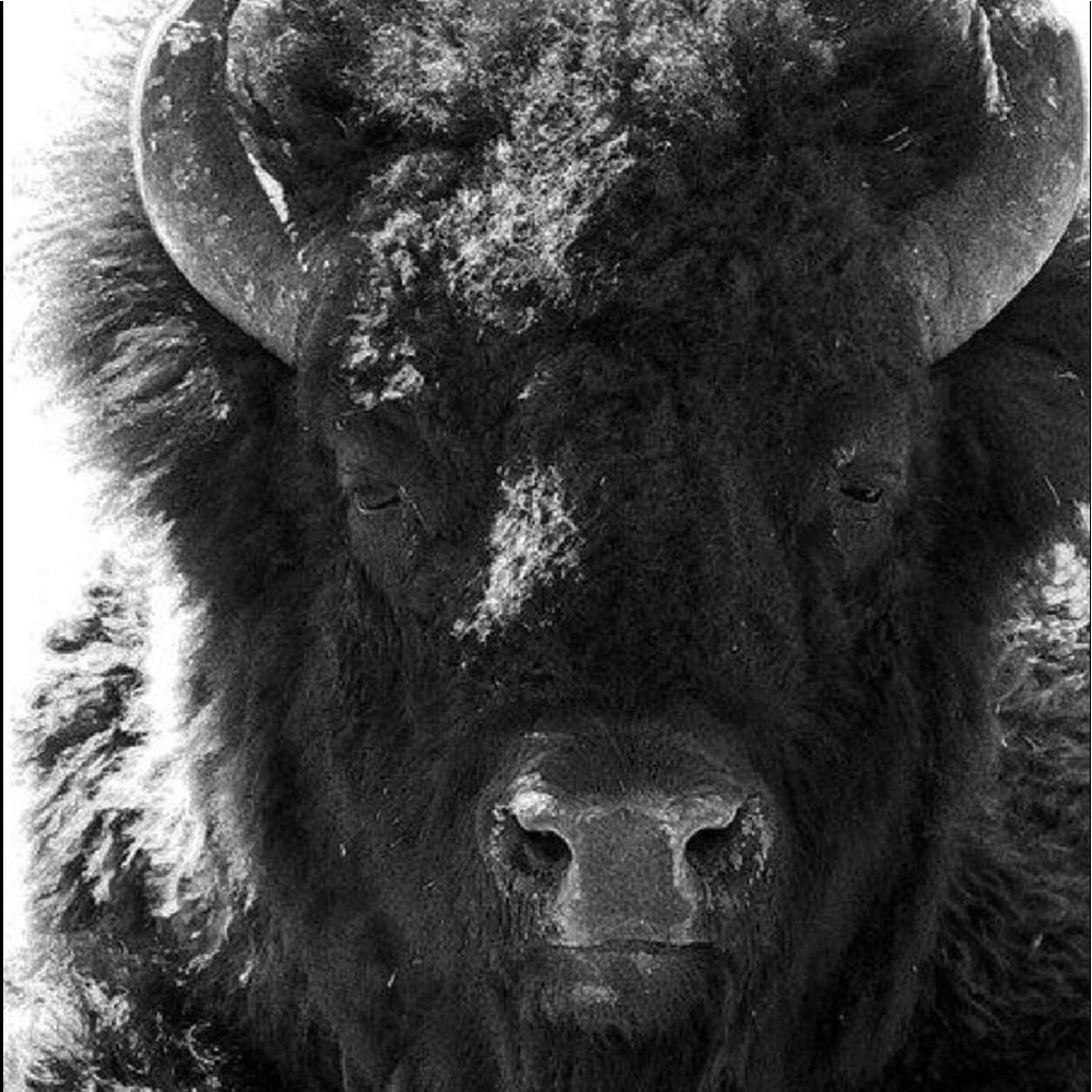 Meet your Posher, Beatriz